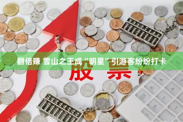 翻倍赚 雪山之王成“明星”引游客纷纷打卡