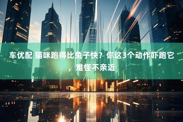 车优配 猫咪跑得比兔子快？你这3个动作吓跑它，难怪不亲近