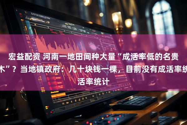 宏益配资 河南一地田间种大量“成活率低的名贵树木”？当地镇政府：几十块钱一棵，目前没有成活率统计