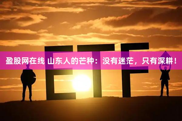 盈股网在线 山东人的芒种：没有迷茫，只有深耕！