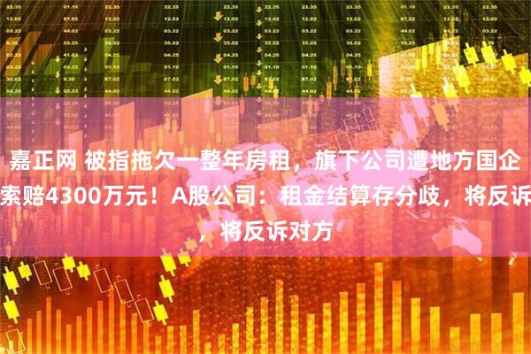 嘉正网 被指拖欠一整年房租，旗下公司遭地方国企起诉索赔4300万元！A股公司：租金结算存分歧，将反诉对方