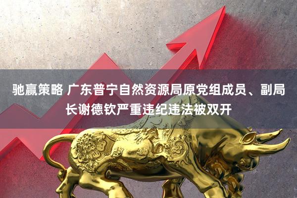 驰赢策略 广东普宁自然资源局原党组成员、副局长谢德钦严重违纪违法被双开