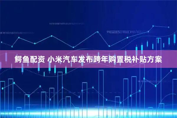 鳄鱼配资 小米汽车发布跨年购置税补贴方案