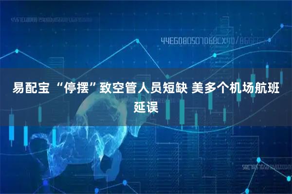 易配宝 “停摆”致空管人员短缺 美多个机场航班延误