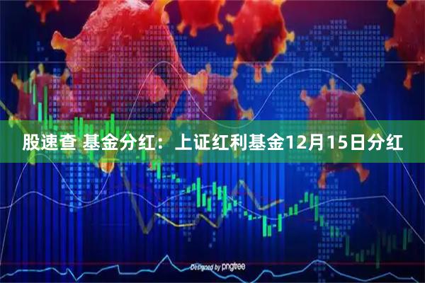 股速查 基金分红:上证红利基金12月15日分红